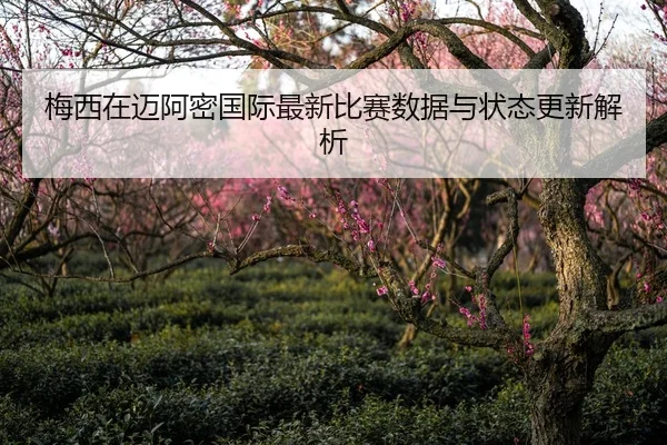 梅西在迈阿密国际最新比赛数据与状态更新解析